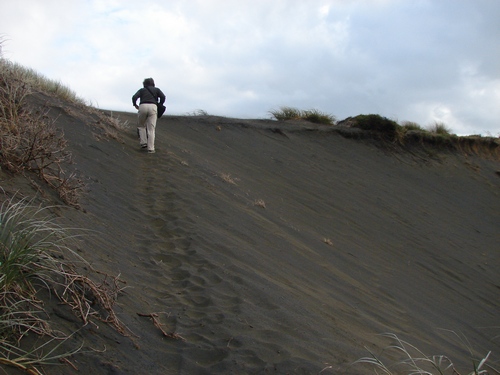 diagonally up the dune